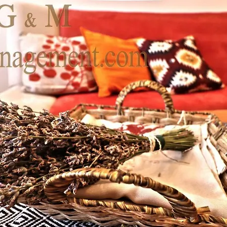 Apartament G M